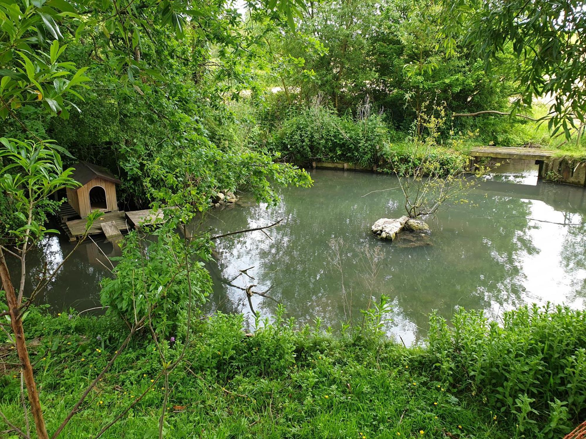 Moulin De La Bretonniere - Omaha Beach Aignerville Екстериор снимка